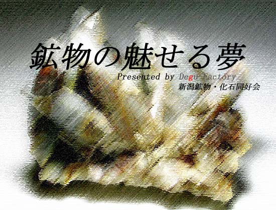 �摜